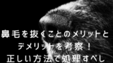 鼻毛がムズムズして困る僕がおすすめしたい対策３つ ネットノーカ